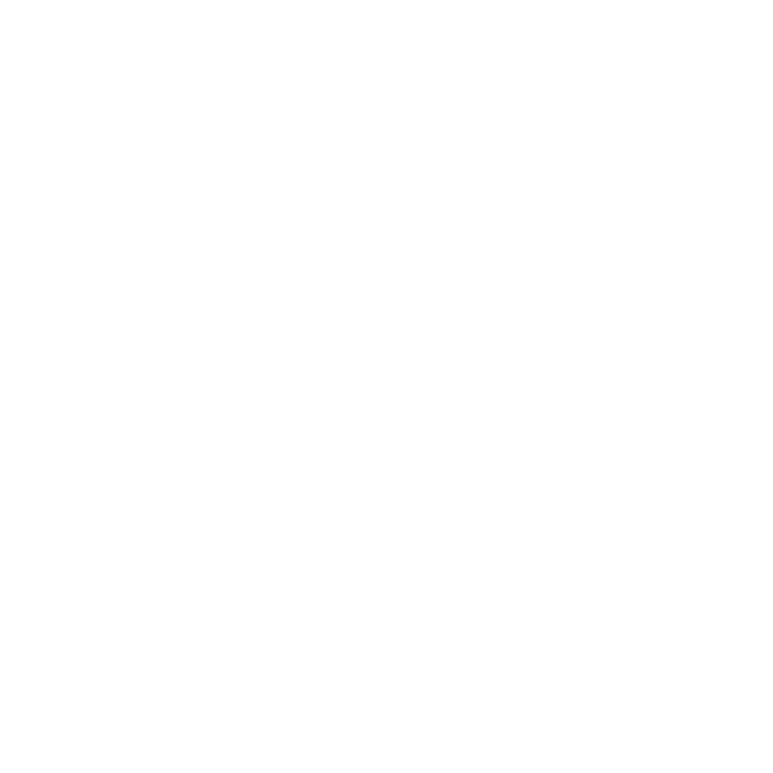 Screen Experts Logo